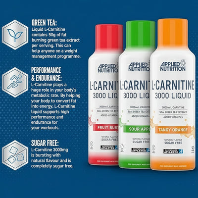 Applied Nutrition L-Carnitine 3000 - 480ml Bottle