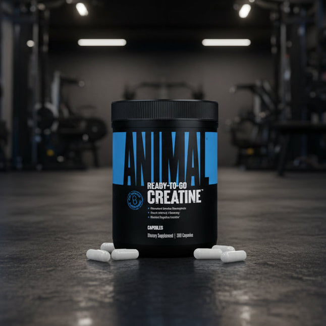 Black container of 'Animal Ready-To-Go Creatine' with white capsules on a gym background