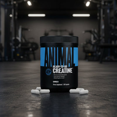 Black container of 'Animal Ready-To-Go Creatine' with white capsules on a gym background