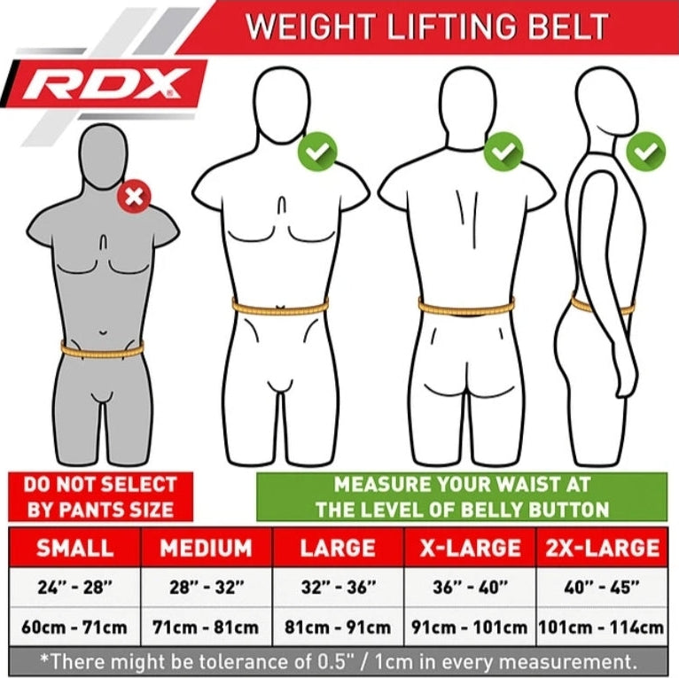 RDX Weight Lifting Belt - Eva Curve RX4