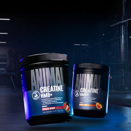 Two containers of Animal Creatine HMB+ on a dark background with gym equipment.