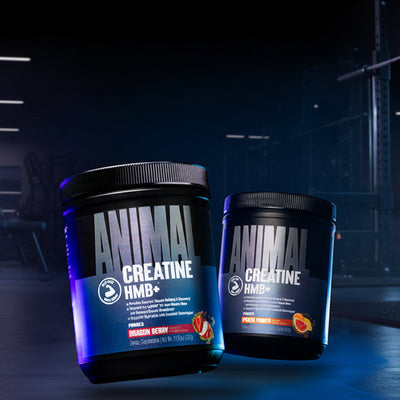 Two containers of Animal Creatine HMB+ on a dark background with gym equipment.